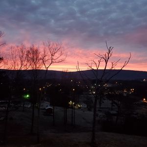 Meet your Posher, Renee